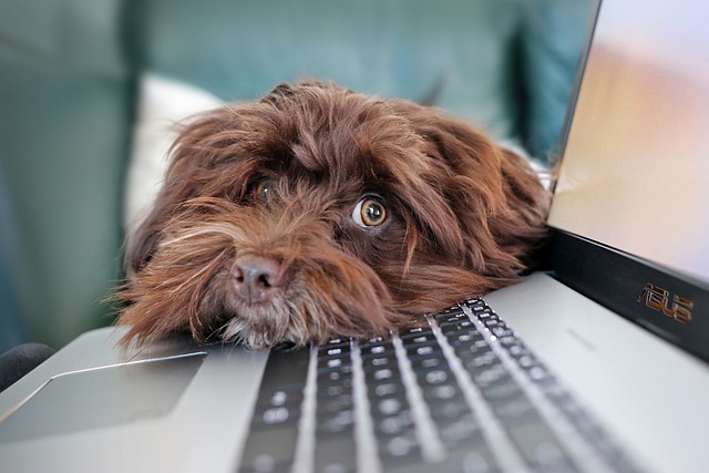 Email Marketing Strategies to Boost Engagement and Drive Conversions for Your Business Success