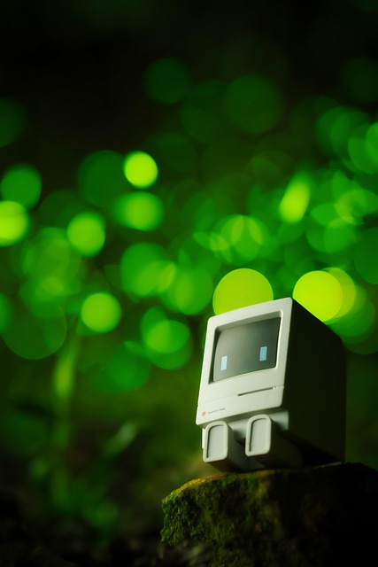 Email Marketing Essentials: Strategies to Drive Engagement and Maximize Customer Connections