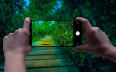 Leveraging Social Media Insights to Drive Targeted Engagement and Boost Brand Loyalty