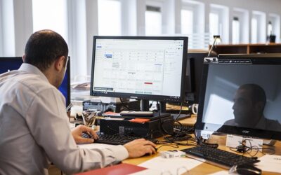 Strategies for Building Resilience in Business: Thriving Amidst Challenges and Change